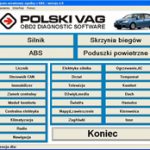 Polski VAG 4.9